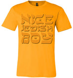 Nice Jewish Boy Tee