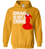 Drag Is Not A Crime Hoodie