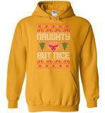 Naughty But Nice Hoodie