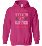 Naughty But Nice Hoodie