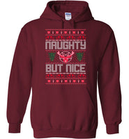 Naughty But Nice Hoodie