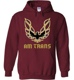 Am Trans Hoodie