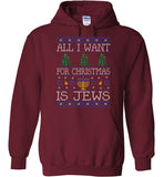 All I Want For Christmas Is Jews Hoodie