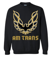 Am Trans Sweatshirt