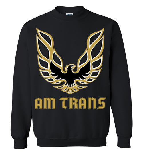 Am Trans Sweatshirt