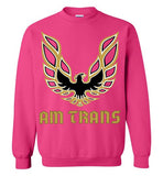 Am Trans Sweatshirt