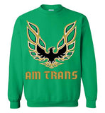 Am Trans Sweatshirt