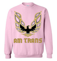 Am Trans Sweatshirt