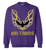 Am Trans Sweatshirt