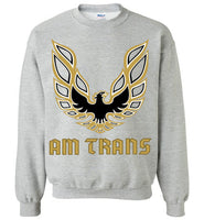 Am Trans Sweatshirt