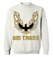 Am Trans Sweatshirt